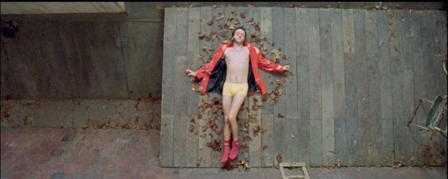 American Beauty